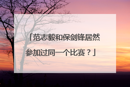范志毅和保剑锋居然参加过同一个比赛？