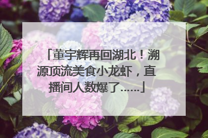 董宇辉再回湖北！溯源顶流美食小龙虾，直播间人数爆了……