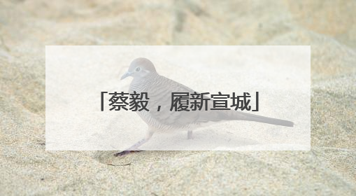 蔡毅，履新宣城