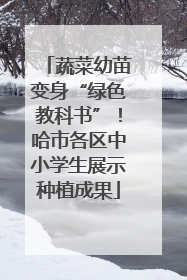 蔬菜幼苗变身“绿色教科书”！哈市各区中小学生展示种植成果
