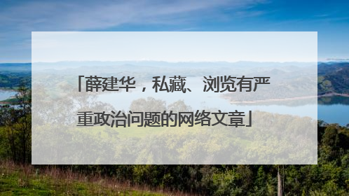 薛建华，私藏、浏览有严重政治问题的网络文章