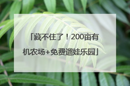 藏不住了！200亩有机农场+免费遛娃乐园