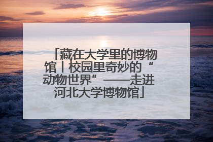 藏在大学里的博物馆丨校园里奇妙的“动物世界”——走进河北大学博物馆