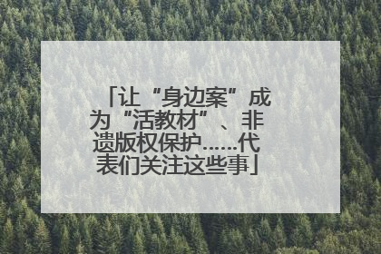 让“身边案”成为“活教材”、非遗版权保护……代表们关注这些事
