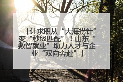 让求职从“大海捞针”变“秒级匹配”！山东“数智就业”助力人才与企业“双向奔赴”