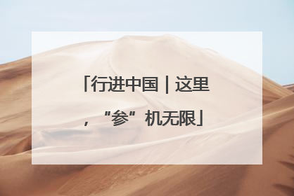 行进中国｜这里，“参”机无限