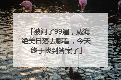 被问了99遍，威海绝美日落去哪看，今天终于找到答案了