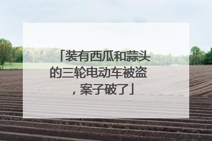 装有西瓜和蒜头的三轮电动车被盗，案子破了