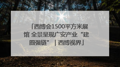 西博会1500平方米展馆 全景呈现广安产业“建圈强链”｜西博视界