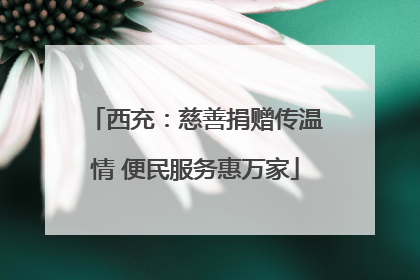 西充：慈善捐赠传温情 便民服务惠万家