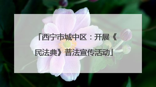 西宁市城中区：开展《民法典》普法宣传活动