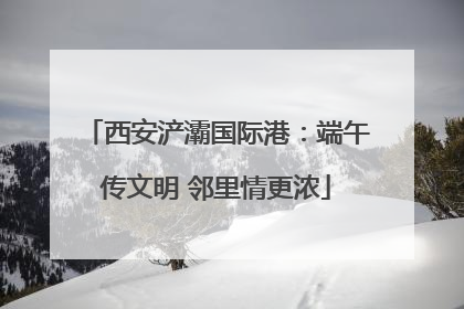 西安浐灞国际港：端午传文明 邻里情更浓