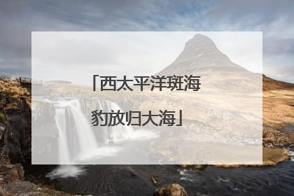 西太平洋斑海豹放归大海
