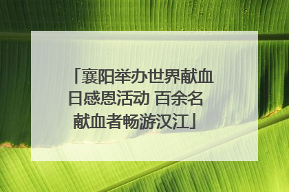 襄阳举办世界献血日感恩活动 百余名献血者畅游汉江