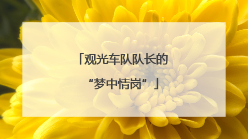 观光车队队长的“梦中情岗”