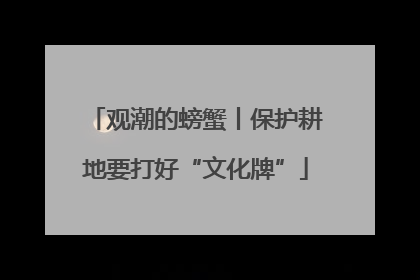 观潮的螃蟹丨保护耕地要打好“文化牌”
