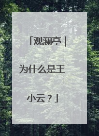 观澜亭｜为什么是王小云？