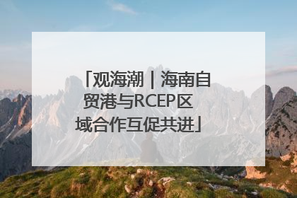 观海潮｜海南自贸港与RCEP区域合作互促共进
