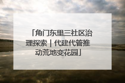 角门东里三社区治理探索｜代建代管推动荒地变花园