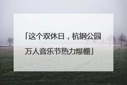 这个双休日，杭钢公园万人音乐节热力爆棚