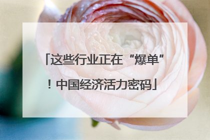 这些行业正在“爆单”！中国经济活力密码