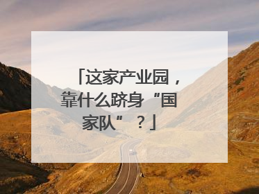 这家产业园，靠什么跻身“国家队”？