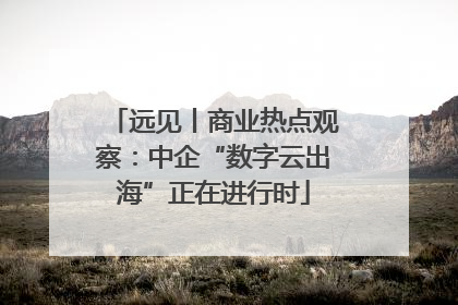 远见丨商业热点观察：中企“数字云出海”正在进行时