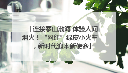 连接泰山渤海 体验人间烟火！“网红”绿皮小火车，新时代迎来新使命