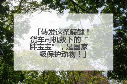 转发这条鲮鲤！货车司机救下的“胖宝宝”，是国家一级保护动物！