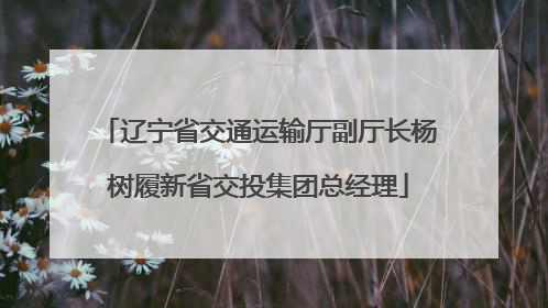 辽宁省交通运输厅副厅长杨树履新省交投集团总经理