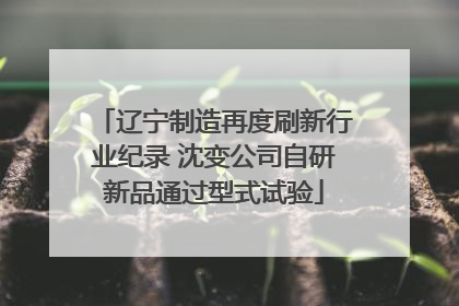 辽宁制造再度刷新行业纪录 沈变公司自研新品通过型式试验