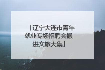辽宁大连市青年就业专场招聘会搬进文旅大集