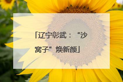 辽宁彰武：“沙窝子”焕新颜