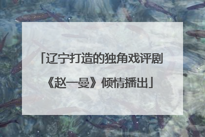 辽宁打造的独角戏评剧《赵一曼》倾情播出