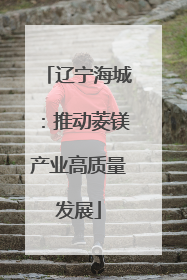 辽宁海城：推动菱镁产业高质量发展