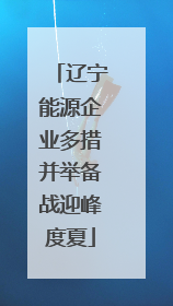 辽宁能源企业多措并举备战迎峰度夏