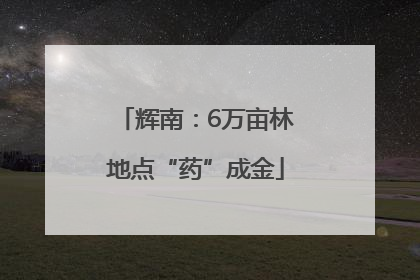 辉南：6万亩林地点“药”成金