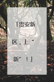 贵安新区，上“新”！