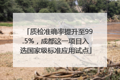 质检准确率提升至99.5%，成都这一项目入选国家级标准应用试点