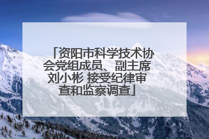 资阳市科学技术协会党组成员、副主席刘小彬 接受纪律审查和监察调查