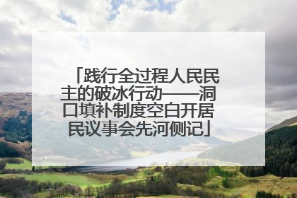 践行全过程人民民主的破冰行动——洞口填补制度空白开居民议事会先河侧记