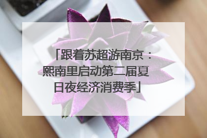 跟着苏超游南京：熙南里启动第二届夏日夜经济消费季