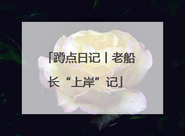 蹲点日记丨老船长“上岸”记