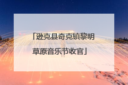 逊克县奇克镇黎明草原音乐节收官