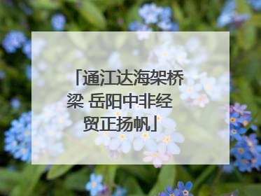 通江达海架桥梁 岳阳中非经贸正扬帆