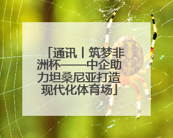 通讯丨筑梦非洲杯——中企助力坦桑尼亚打造现代化体育场