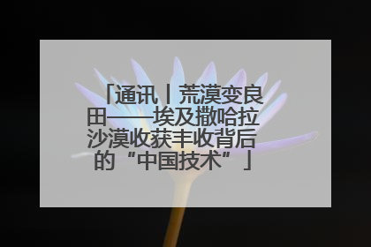 通讯丨荒漠变良田——埃及撒哈拉沙漠收获丰收背后的“中国技术”