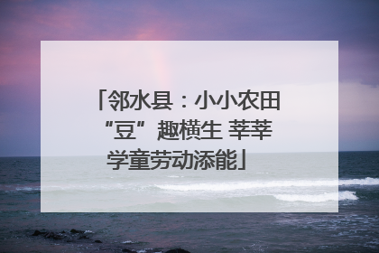 邻水县：小小农田“豆”趣横生 莘莘学童劳动添能