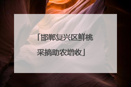 邯郸复兴区鲜桃采摘助农增收