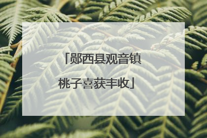 郧西县观音镇桃子喜获丰收